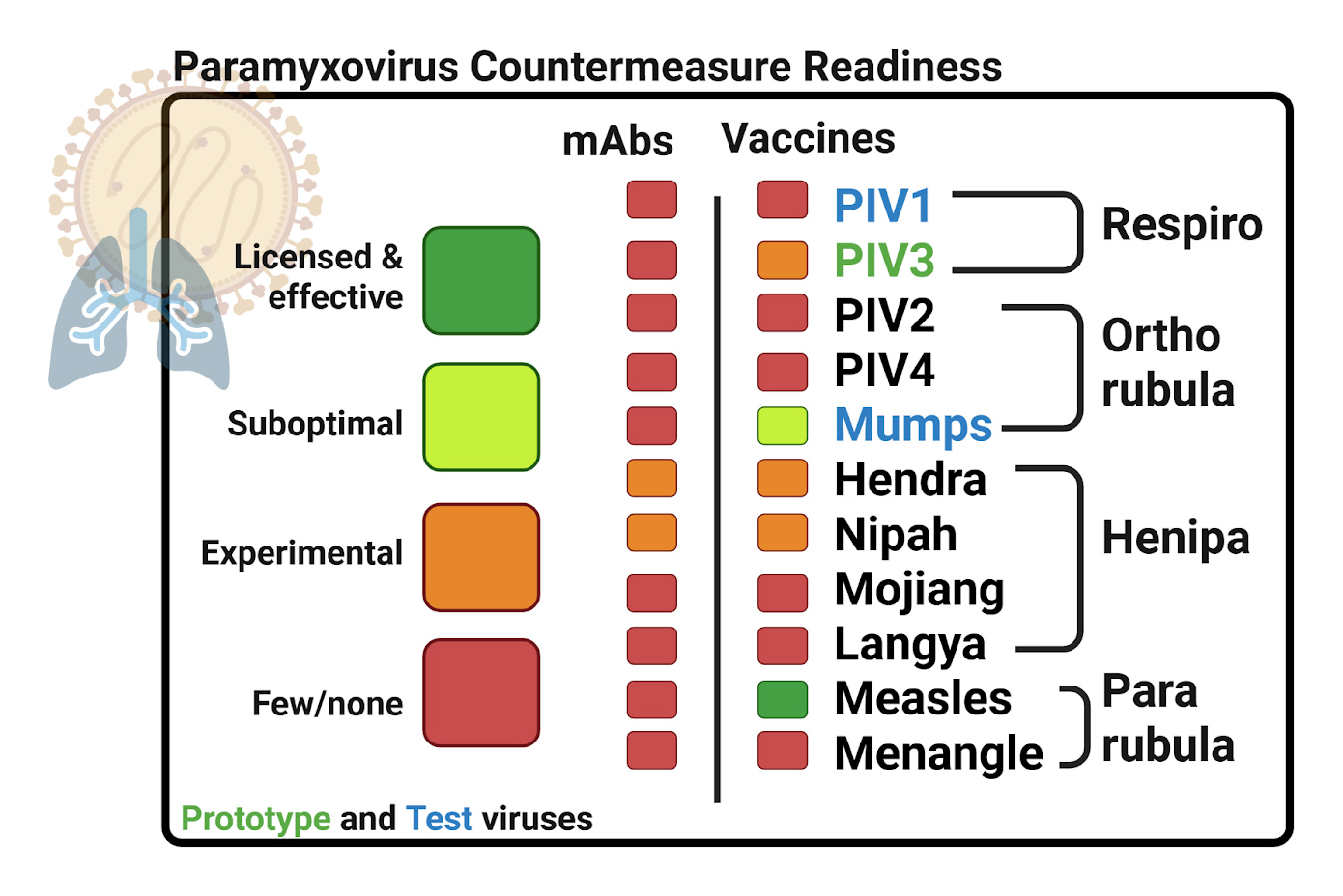 paramyxovirus-countermeasure-readiness